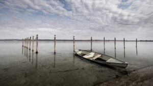 2021-02-19 11-49-02 0065-X4000