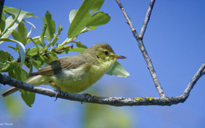 2004-05-29 11-48-18 1617_Ext_X1600