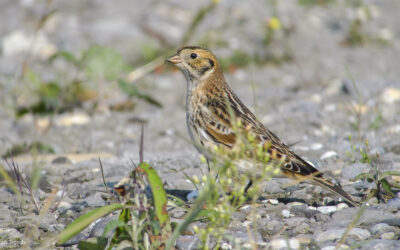 2010-09-19_104242_0014_Ext_X1600