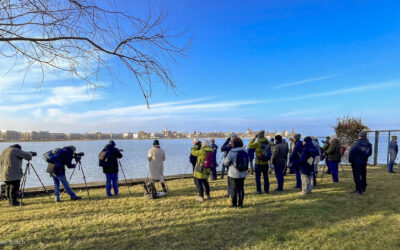 Exkursionsgruppe von BirdLife Thurgau beim Weidenhof Steinach, 08.02.2026, Foto Stephan Trösch